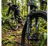 Suntour SF16 RAIDON XC air RLR QLC 29 Zoll schwarz matt taper Schaftlänge 272 AHead 15mm 100mm