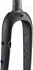 Ritchey Wcs Carbon Tapered Adventure 12 X 100 Mm Road Fork Silber (28) / Rigid