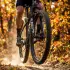 RockShox Sid Ultimate Race Day 3p Os44 Mtb Fork silver 29 (120)