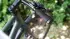 Selle Royal Nivo Gel /