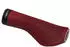 red: Ergon GS1 Evo L