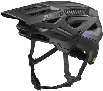 Julbo Forest Evo black / blue