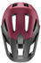 uvex Renegade MIPS black/red matt