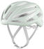 ABUS Stormchaser Ace Helmet green