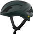 (10875) pargasite green matt