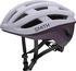 Smith Persist 2 MIPS