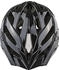 Alpina Sports Panoma Classic black gloss