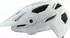 Alpina Rootage 2 Helm