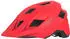 Leatt All Mountain 1.0 Helmet