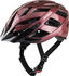 Alpina Sports Panoma Classic