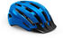 blue/glossy
