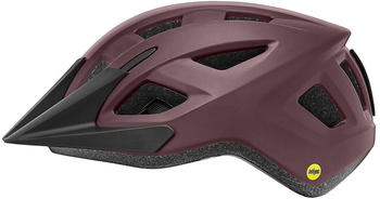 Giant Liv Path MIPS matte fig