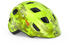 lime chamaleon/glossy