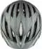 Alpina Sports Gent MIPS grau