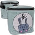 hansi rabbit