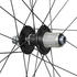 Shimano Rx 880 700c Tubeless Disc Gravel Rear Wheel silver 12 x 142 mm / Shimano/Sram HG