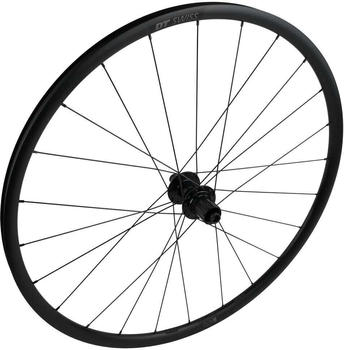 Specialized Dt-r470 Ta Cl Disc Road Rear Wheel silver 12 x 142 mm