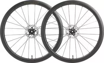 FFWD RYOT 44