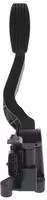 Bosch Fahrpedalsatz 0 280 755 051