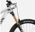 Canyon Strive: On Cfr Underdog