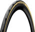 Continental Grand Prix 5000 All Season