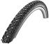 Schwalbe Winter