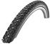 Schwalbe Winter