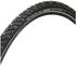 Schwalbe Winter