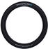 Schwalbe Racing Ray Evo 2021