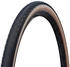Schwalbe G-One RS PRO black-transparent (45-622)