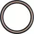 Schwalbe Rick xc Pro Evo Spgrp Tubeless 29'' x 2.40