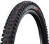 Schwalbe Tacky Chan Race Pro Soft Tubeless