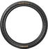 Continental Magnotal 29 MTB Tubeless Ready