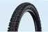 Schwalbe Albert Trail Pro Soft Radial Tubeless 2026 29 x 2.50 Black