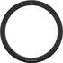 Schwalbe 1402796905