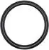 Schwalbe Motion Big Apple RaceGuard Drahtreifen (11159664)