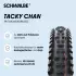 Schwalbe Tacky Chan Gravity Pro Soft Radial Tubeless 29 X 2.50