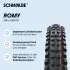Schwalbe Romy Trail Pro Mid Tubeless 29 X 2.40