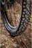 Michelin Force AM2 Competition Line 29 × 2.4