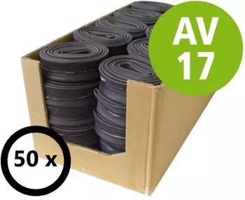 Schwalbe Fahrradschlauch 28" 28/47-622/635 Autoventil 40mm (AV17)