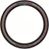 Schwalbe Racing Ray Super Race Speed 29 × 2,35