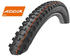 Schwalbe Hans Dampf (EVO Addix) 2019