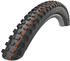 Schwalbe Hans Dampf Evo 2021