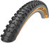 Schwalbe Hans Dampf Evo 2021