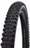 Schwalbe Hans Dampf Evo 2021