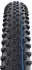 Schwalbe Racing Ray Evo 2021