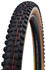 Schwalbe Hans Dampf Evo 2021