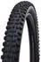 Schwalbe Hans Dampf Evo 2021