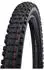 Schwalbe Eddy Current 2021