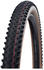 Schwalbe Racing Ray Evo 2021